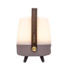 Lite-up Play Mini JBL Earth föld barna lámpa, hangszóró