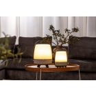 Lite-up Play JBL Earth föld barna lámpa, hangszóró